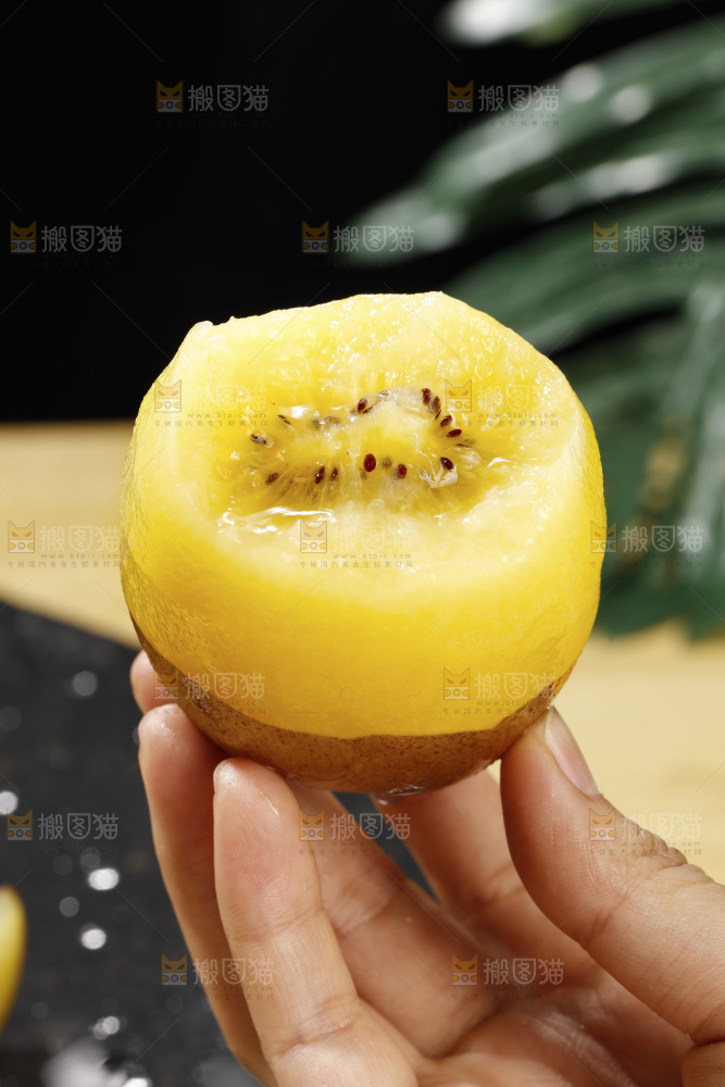 佳沛奇异果