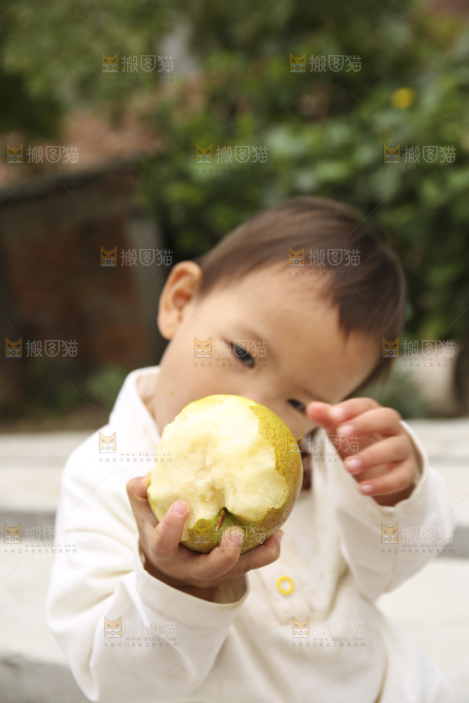 手里拿着玉露香梨
