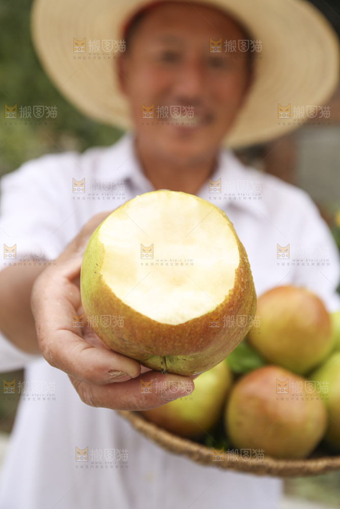 手里拿着玉露香梨