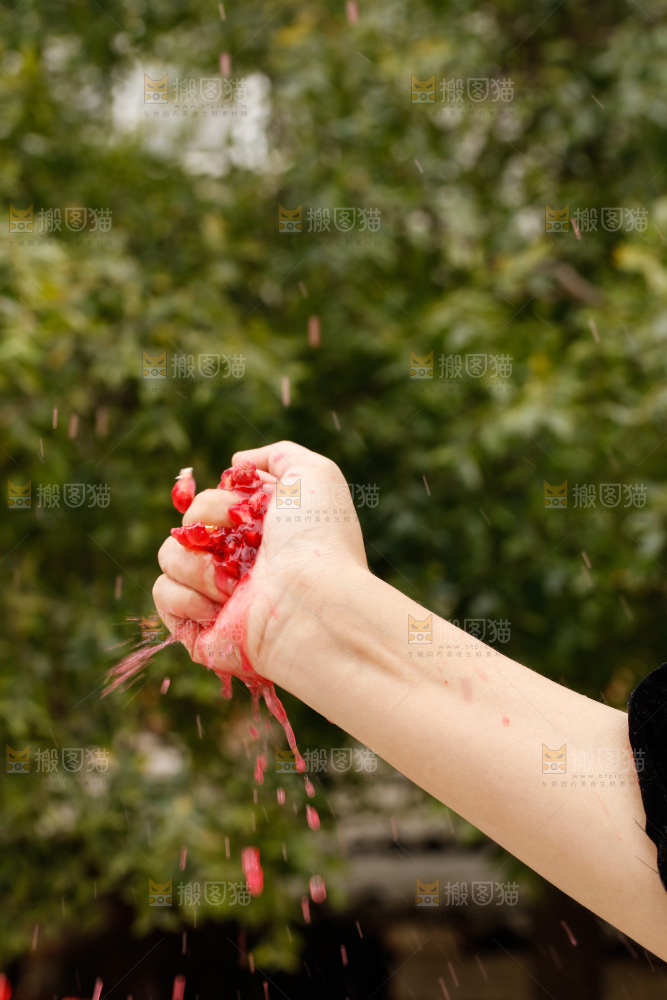 手里的突尼斯软籽石榴爆汁