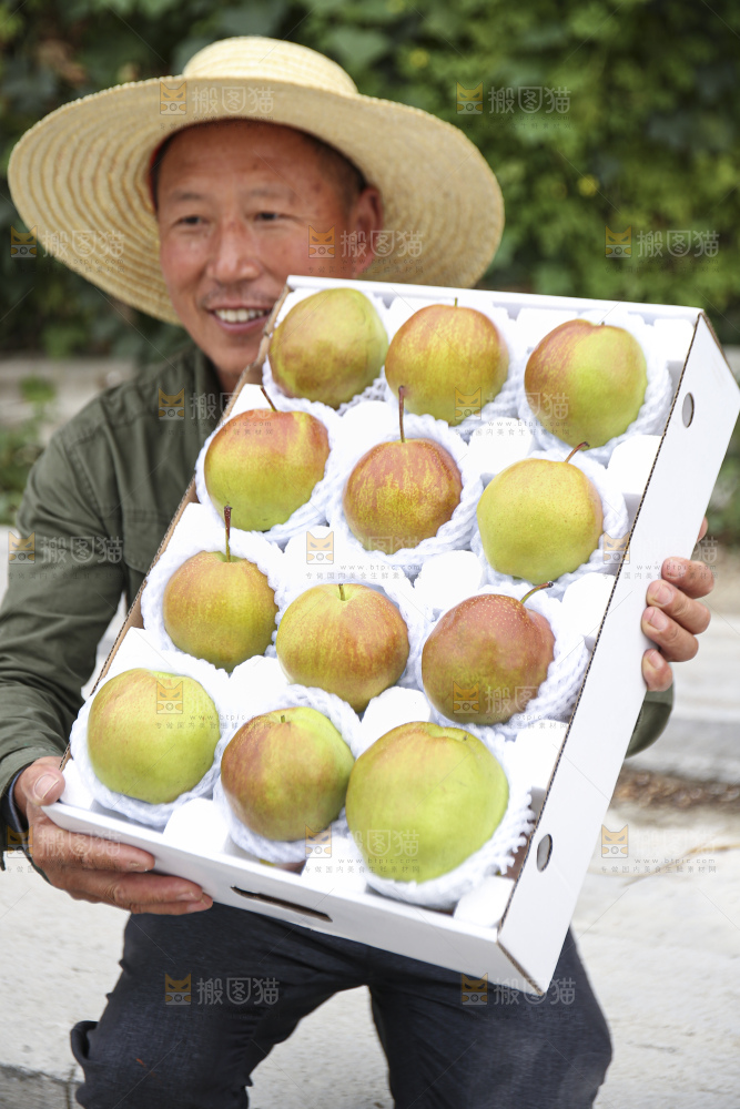 手里拿着玉露香梨