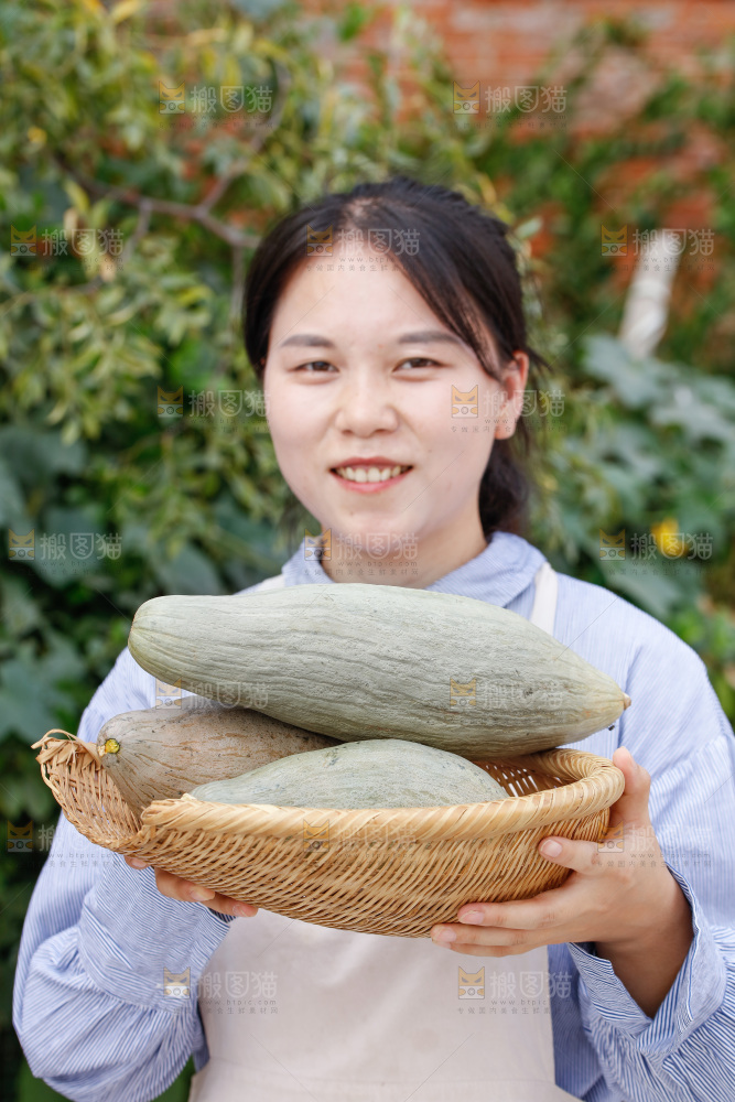 手里拿着贵族南瓜