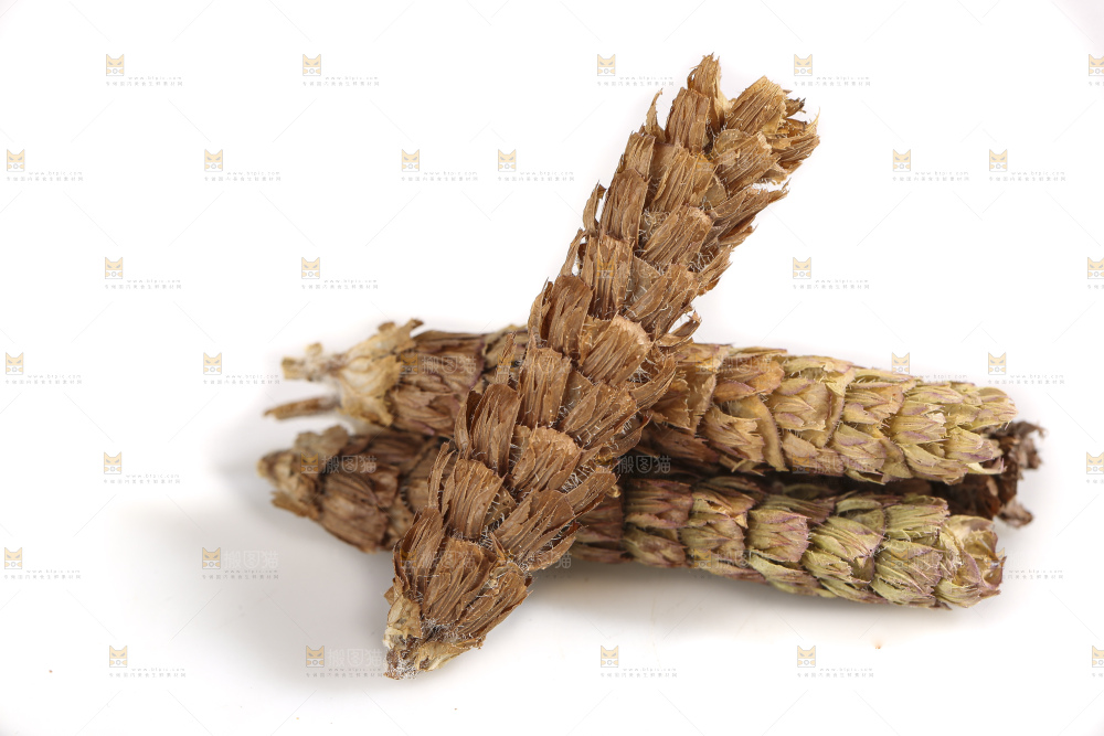 白底上放着夏枯草