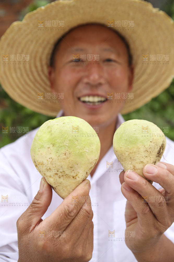 手里拿着大头芥菜