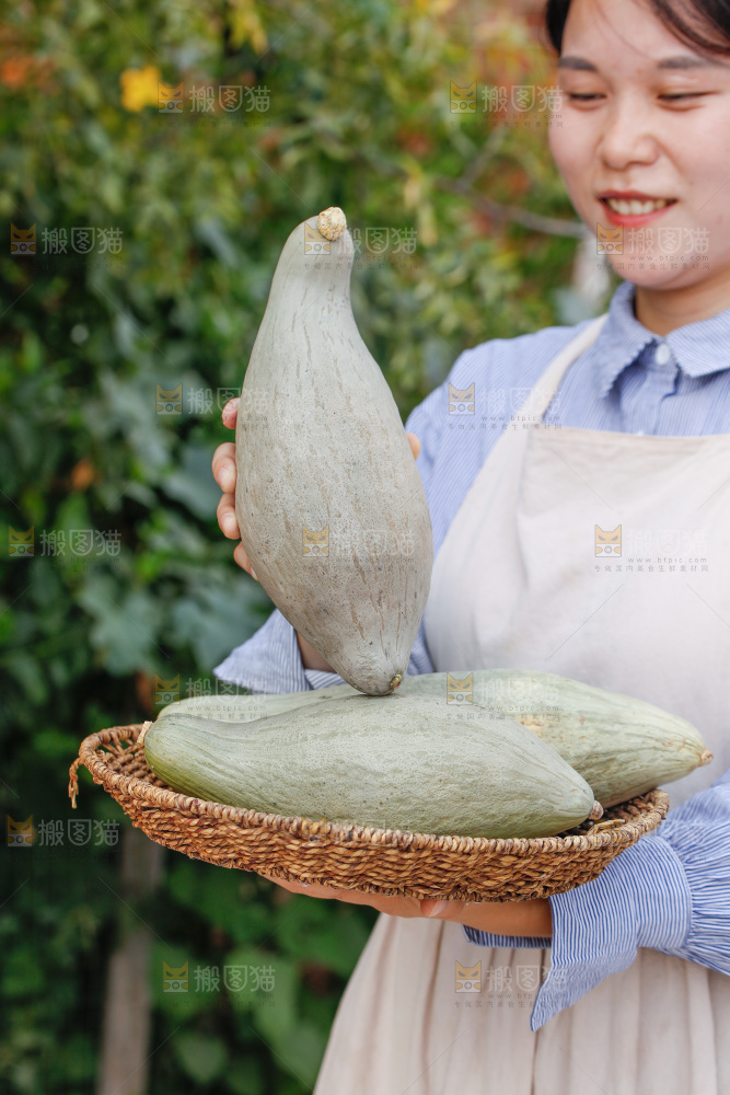 手里拿着贵族南瓜