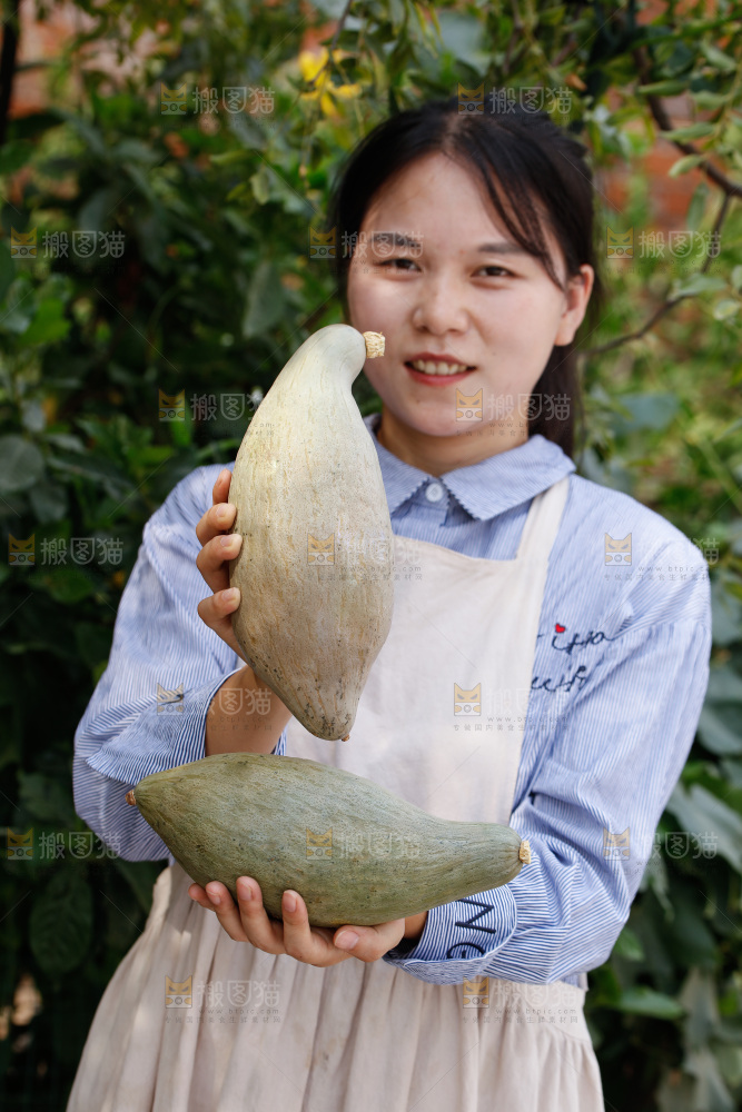 手里拿着贵族南瓜