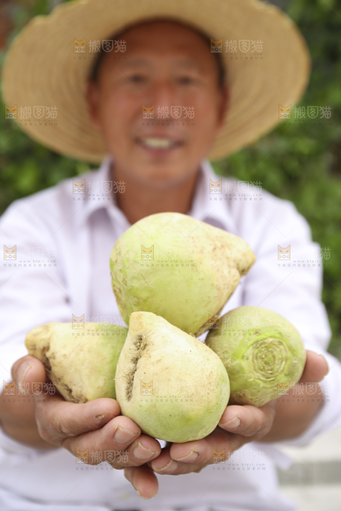 手里拿着大头芥菜