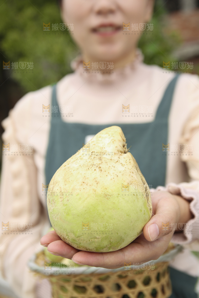 手里拿着大头芥菜