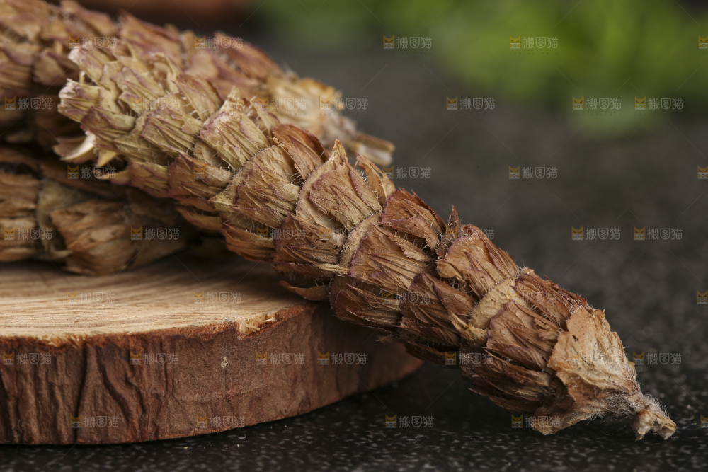 木底上的夏枯草