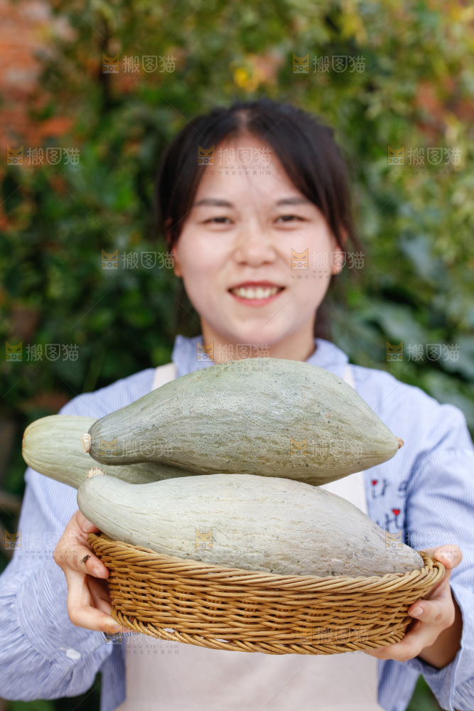 手里拿着贵族南瓜