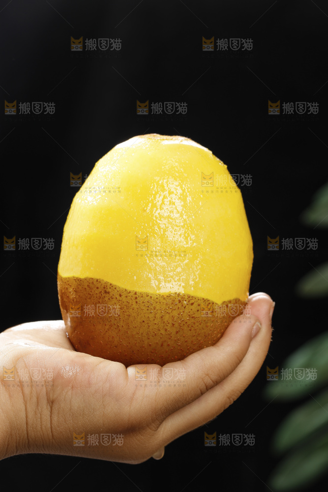 深底上放着佳沛奇异果