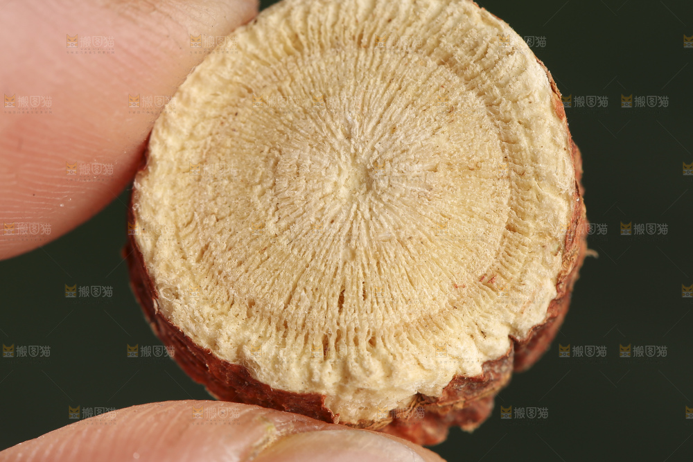 深底上放着甘草片