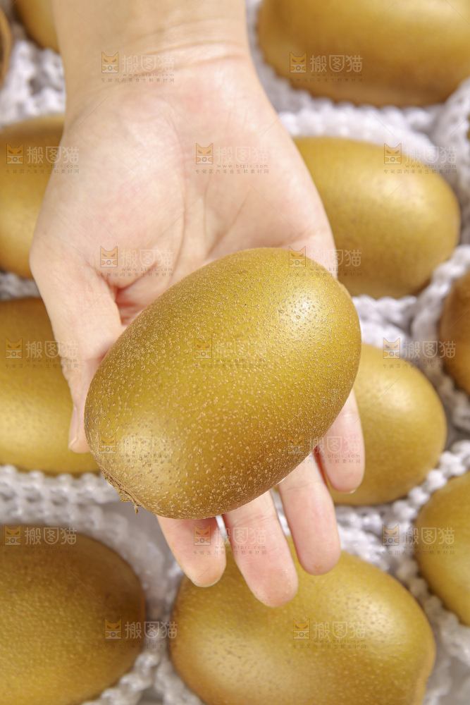 深底上放着佳沛奇异果