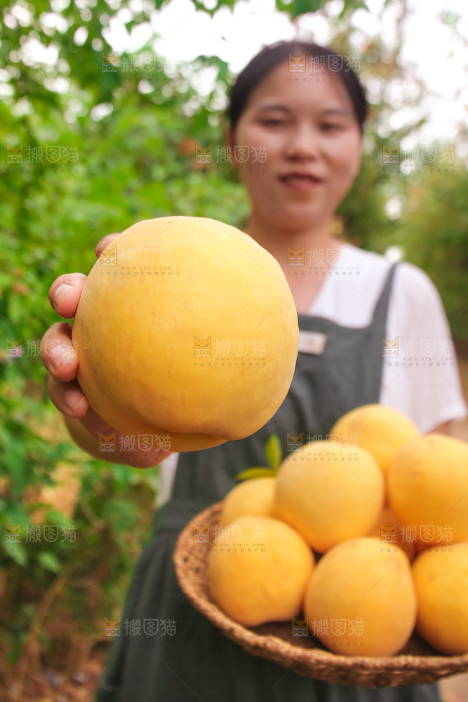 手里拿着炎陵黄桃
