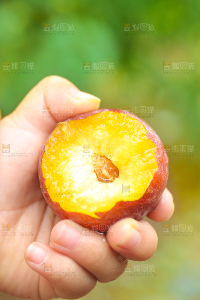 木底上放着红脱骨李