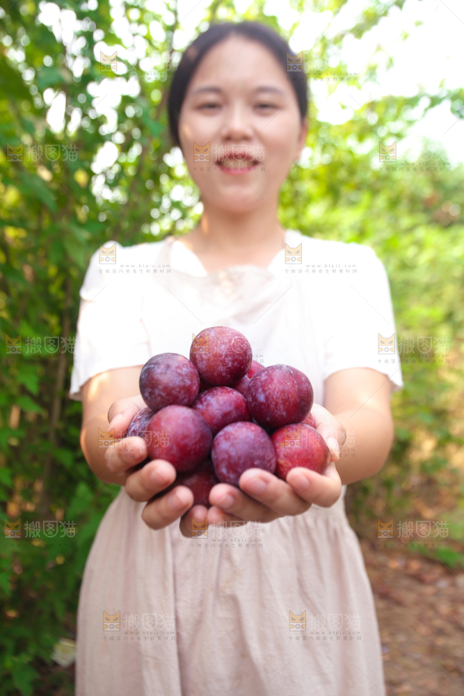 木底上放着红脱骨李