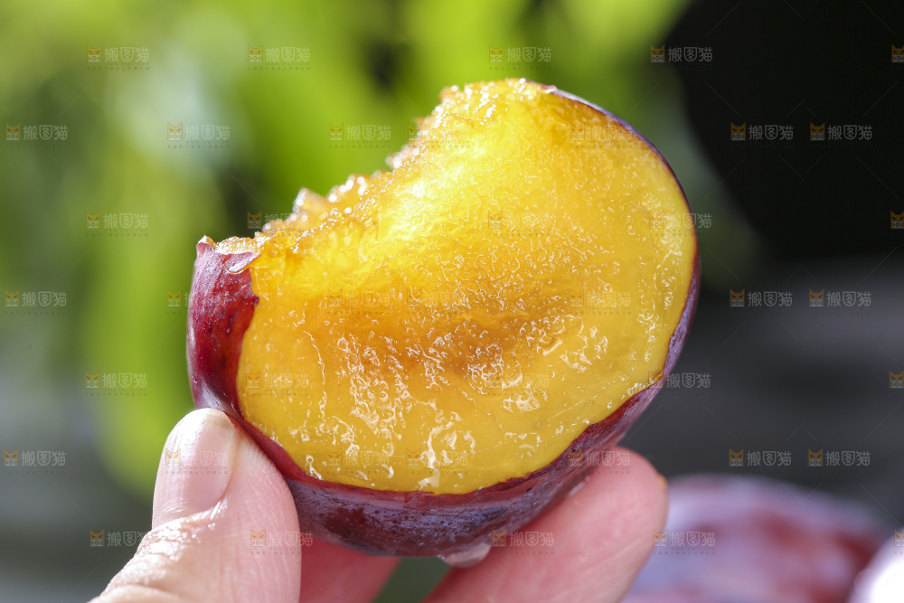 西梅