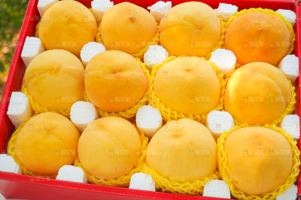 手里拿着炎陵黄桃