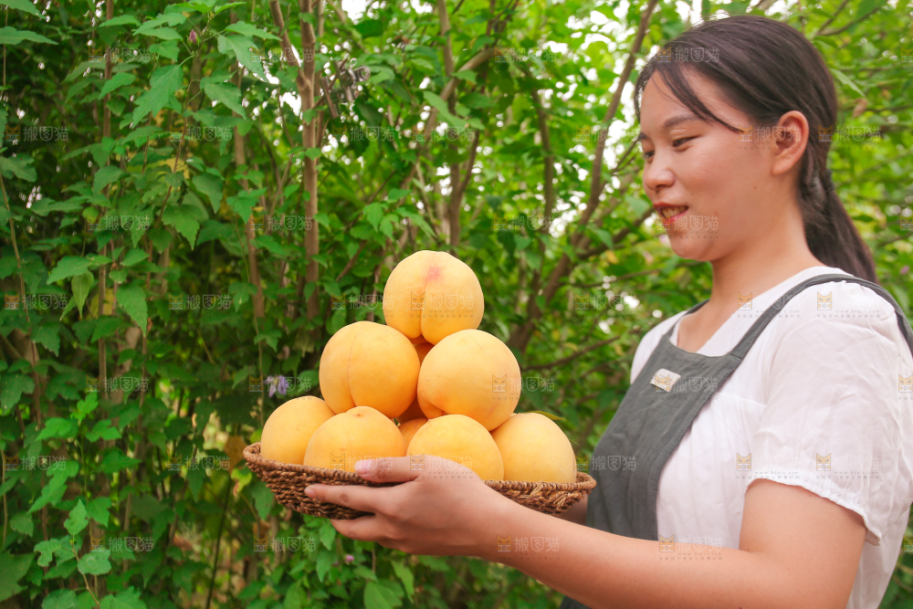 手里拿着炎陵黄桃
