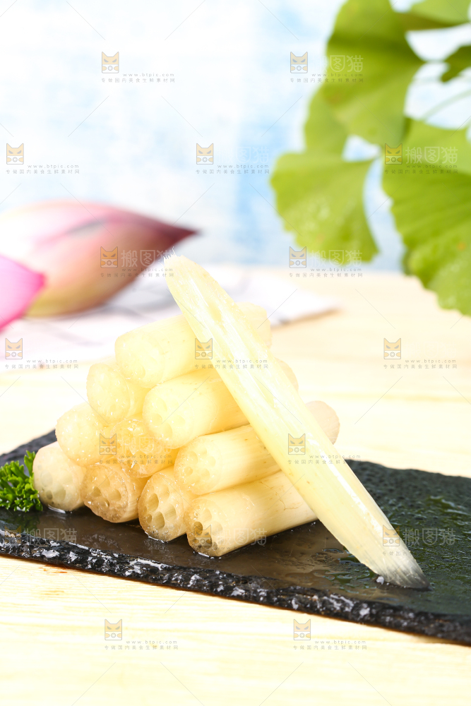 浅底上的藕带