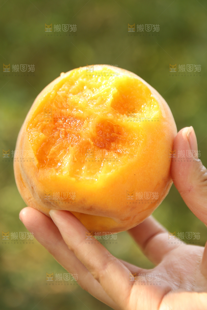 手里拿着炎陵黄桃