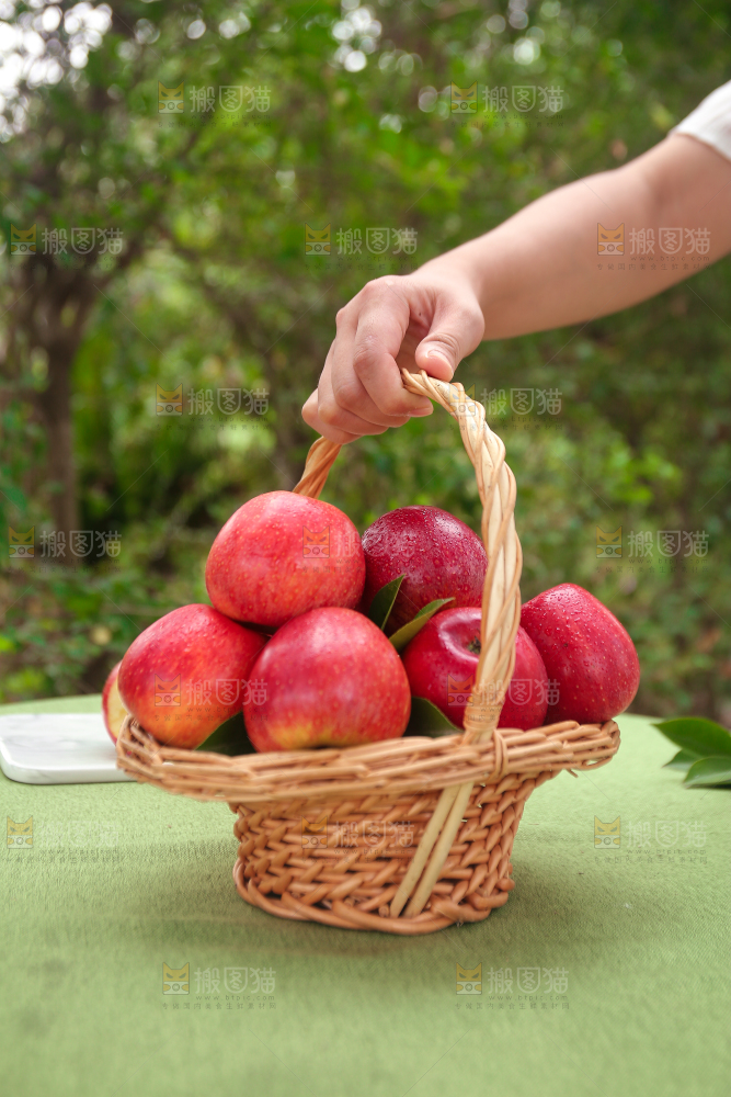 手里拿着高原红苹果