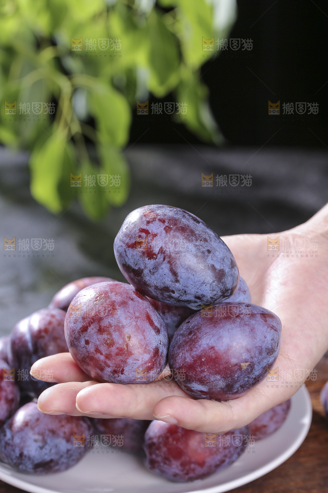 西梅