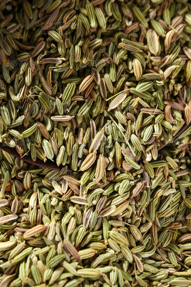 木底上的小茴香籽