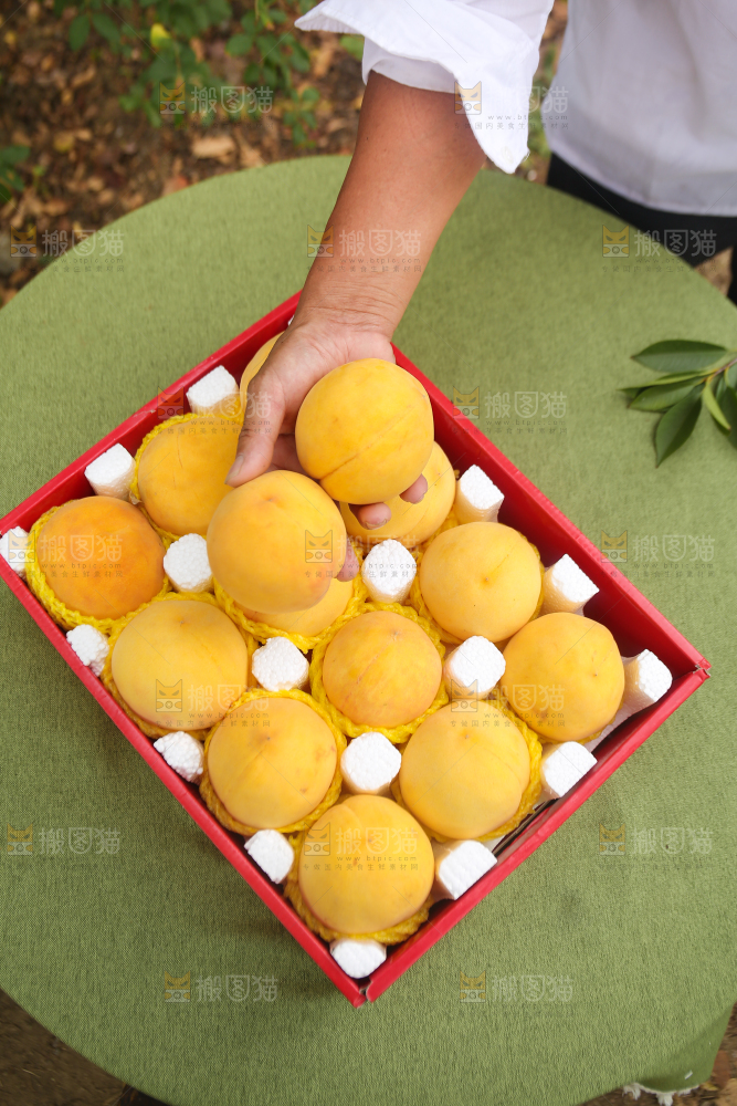 手里拿着炎陵黄桃