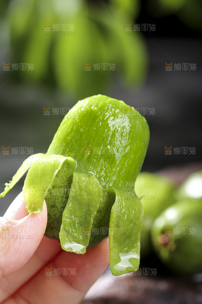 深底上的软枣猕猴桃