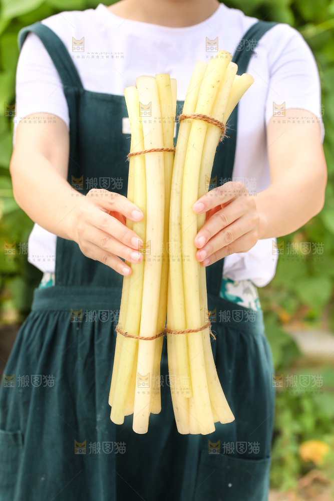 手里拿着藕带