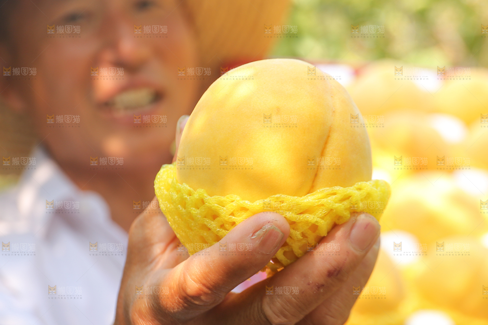 手里拿着炎陵黄桃