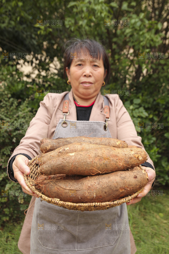 手里拿着灵芝山药