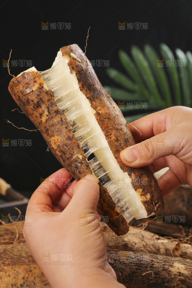 深底上的灵芝山药