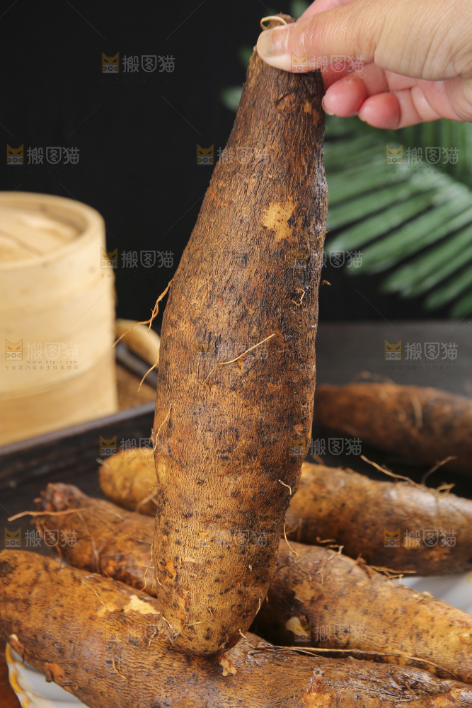 深底上的灵芝山药