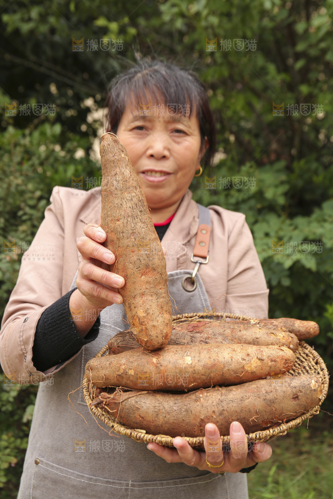 手里拿着灵芝山药