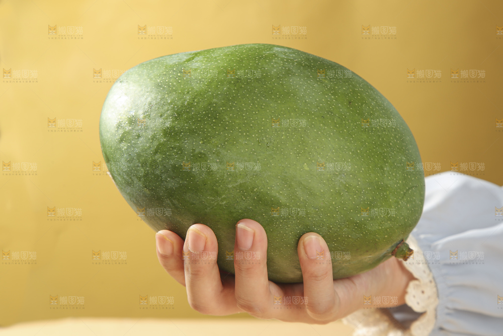 浅底上放着的凯特芒