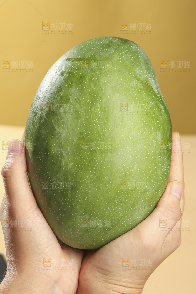 浅底上放着的凯特芒