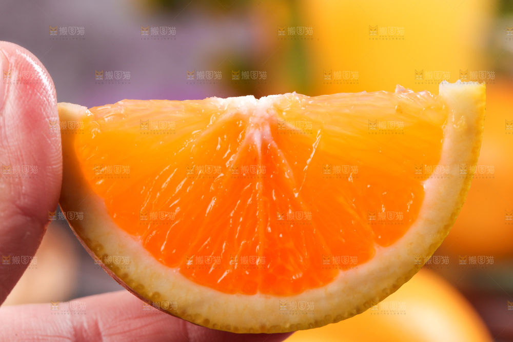 木底上的麻阳冰糖橙