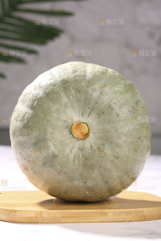浅底上的银栗南瓜