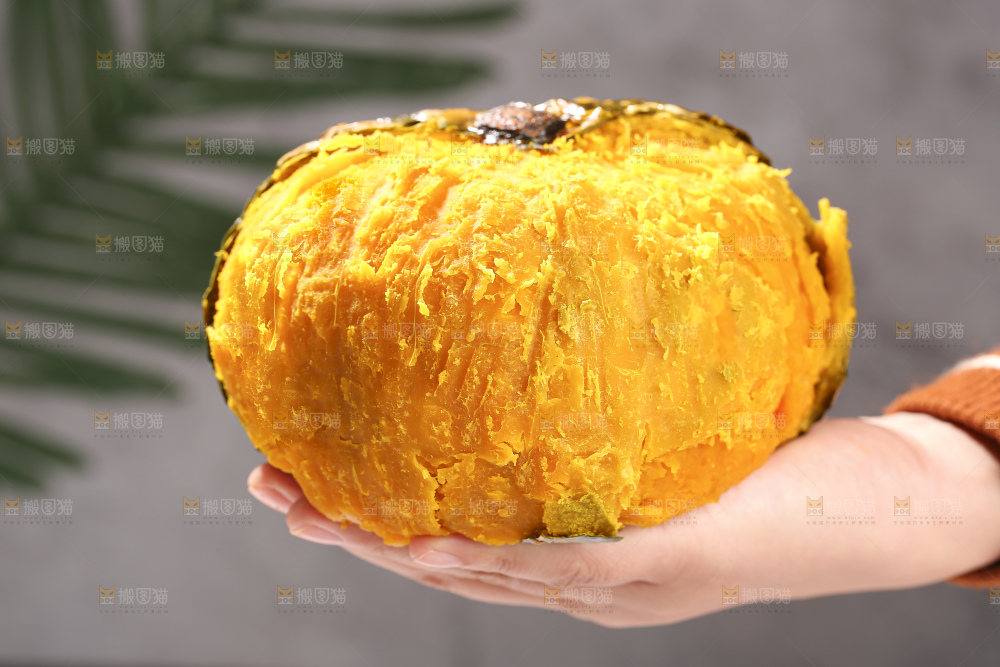 浅底上的银栗南瓜