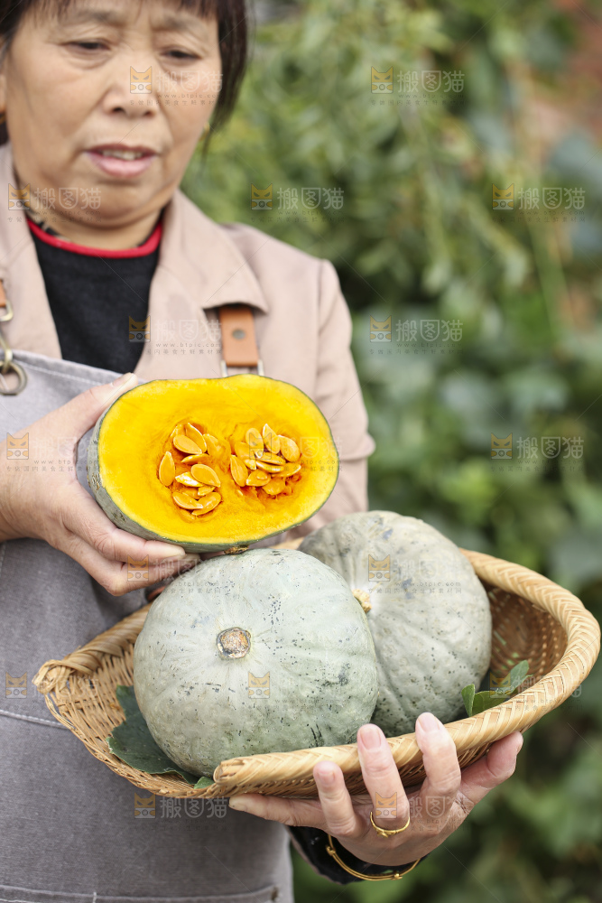 手里拿着银栗南瓜