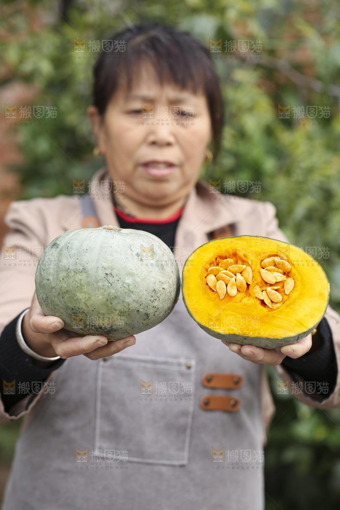 手里拿着银栗南瓜