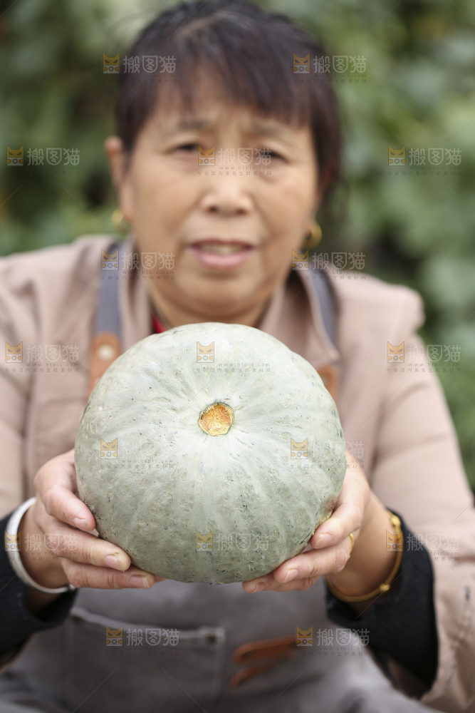 手里拿着银栗南瓜