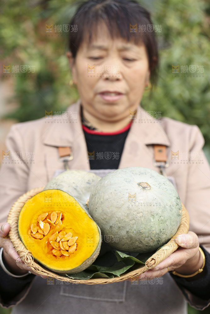 手里拿着银栗南瓜