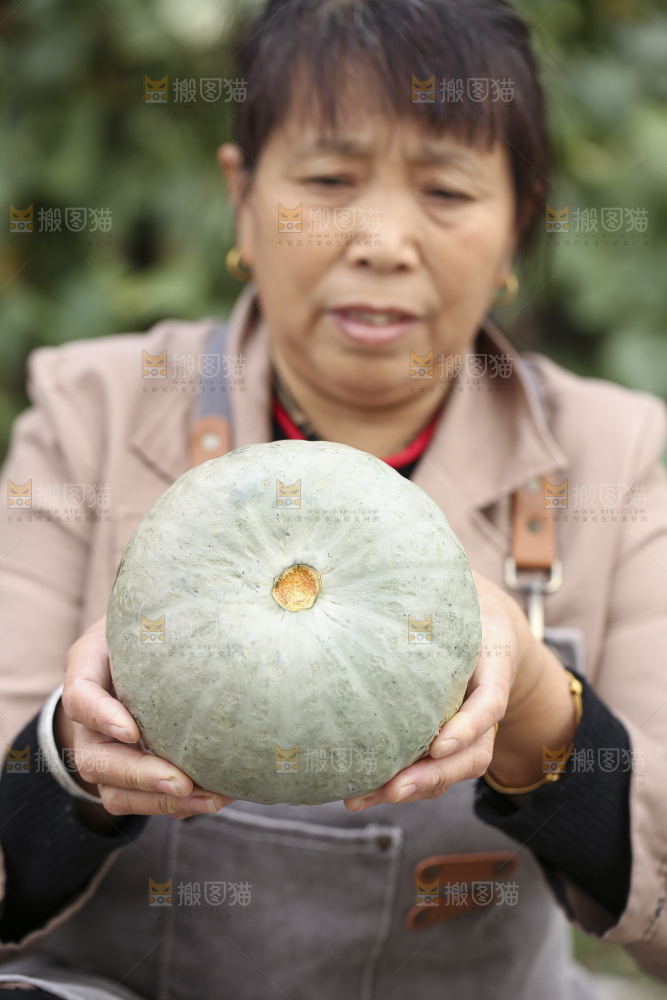手里拿着银栗南瓜