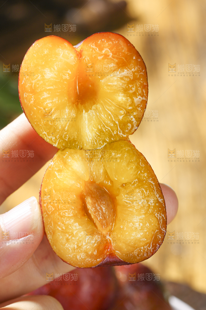 红脆李