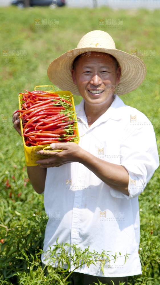 辣椒产地
