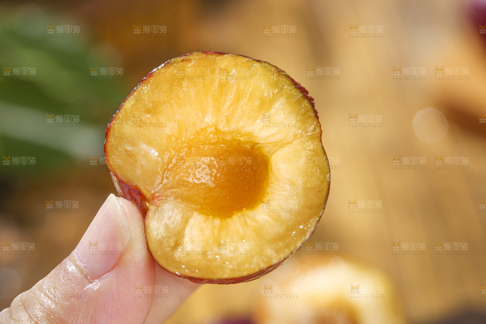木底上的红脆李