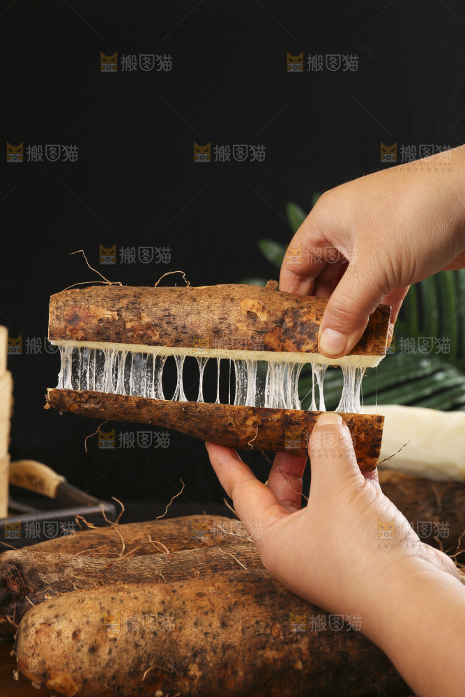 深底上的灵芝山药
